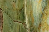 Free-Standing, Gary Green Jasper (Larsonite) Bog Wood - Oregon #334808-2